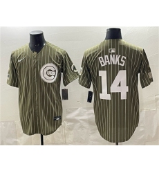 Men's Chicago Cubs #14 Ernie Banks Pinstripe Olive 2026 Armed Forces Day Salute To Service Stitched Baseball Jersey