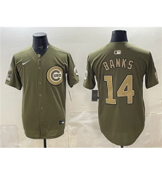 Men's Chicago Cubs #14 Ernie Banks Royal Olive 2026 Armed Forces Day Salute To Service Stitched Baseball Jersey